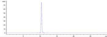 AGER / RAGE Reference Antibody (XT-M4)