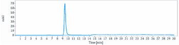 RTN4 / NOGO Reference Antibody (ozanezumab)