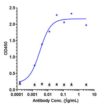 VEGF Reference Antibody