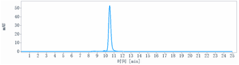 Siglec-2 / CD22 Reference Antibody (inotuzumab)