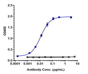 ERBB2 / HER2 / CD340 Reference Antibody (trastuzumab deruxtecan)