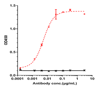 CD20 Reference Antibody (obinutuzumab)