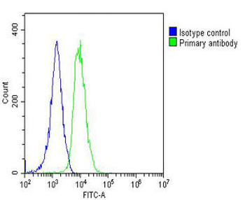FGFR1OP2 Antibody