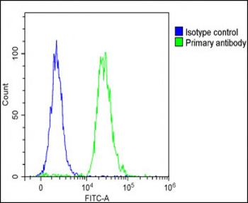 FAM3A Antibody (C-Term)