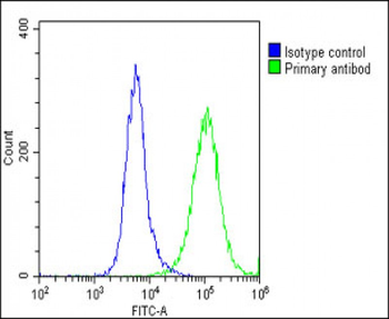 SLC17A6 Antibody (Center)