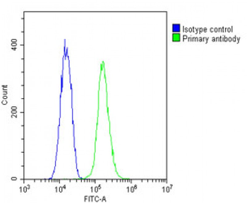 gamma Tubulin Antibody