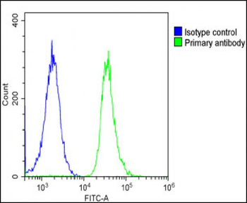 DNAJC3 Antibody (Center)