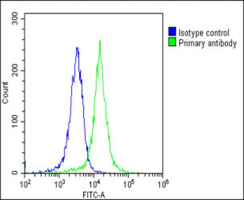 CCL26 Antibody (C-Term)