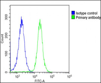 POLA1 Antibody (C-Term)