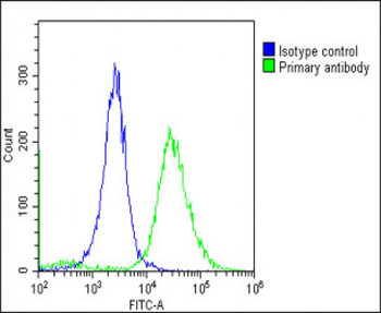 TMEM106B Antibody (C-Term)