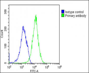 HAVCR2 Antibody