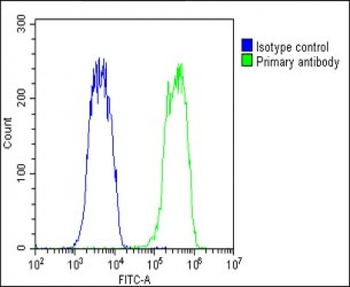 OVGP1 Antibody (N-Term)