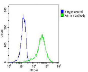 MYO18B Antibody