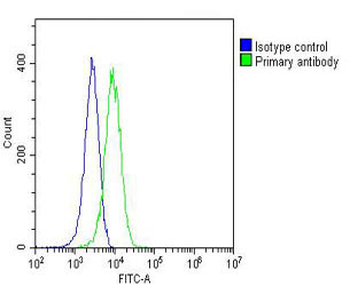 TERF2IP Antibody