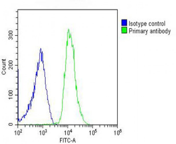 ITIH4 Antibody (C-Term)