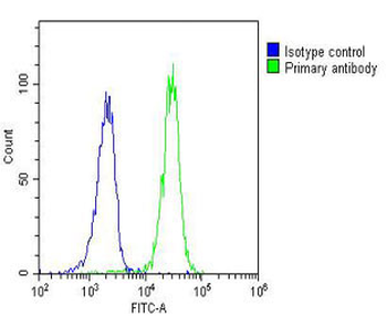 RASSF2 Antibody