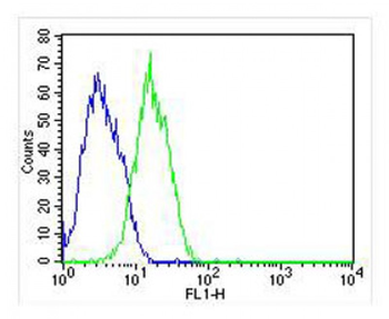 RAB3B Antibody