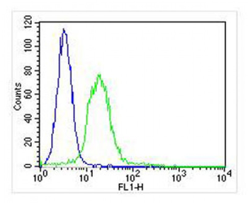 ITGA7 Antibody (N-term)