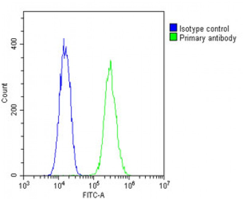Mouse Nkx2-5 Antibody (Center)