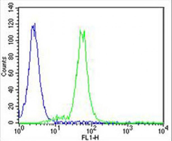 ADORA2A Antibody (C-term)