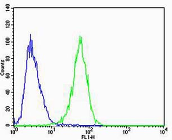 CAPN6 Antibody