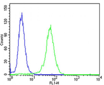 NTRK3 Antibody (Center)