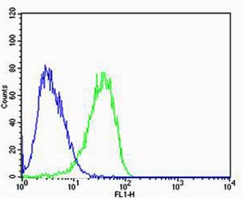 CAPN2 Antibody