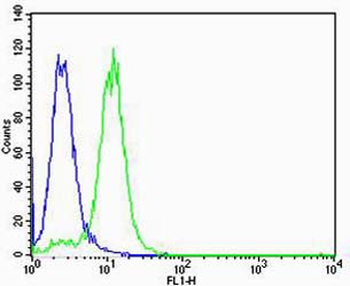 VWF Antibody