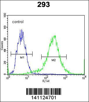 CTNNB1 Antibody (C-term)