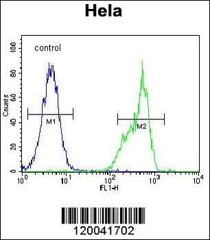 TYSY Antibody(C-term)