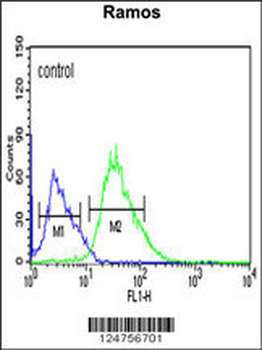PHTNS Antibody (N-term)