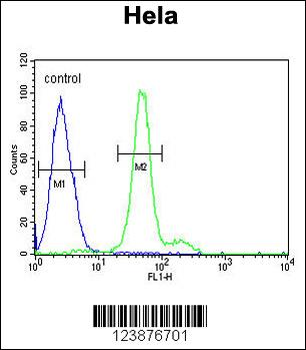ELOVL5 Antibody (C-term)
