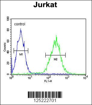 RPR1B Antibody (C-term)