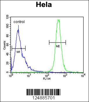 IMP3 Antibody (C-term)