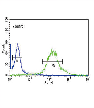 GTSE1 Antibody (C-term)