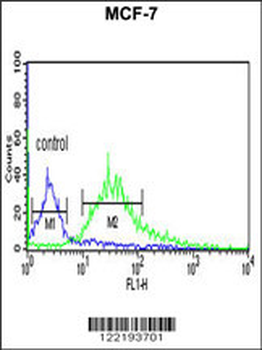 LXN Antibody