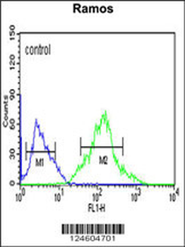 FOXP1 Antibody (C-term)