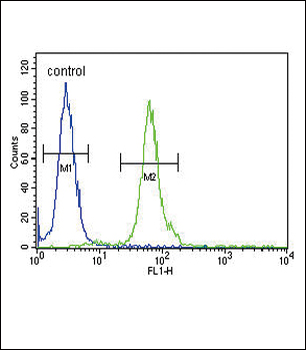 DFFB Antibody (N-term)