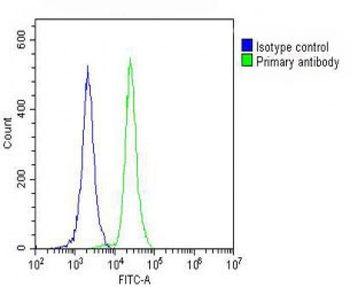 PLA2G7 Antibody (Center)