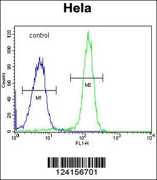 FAM40A Antibody (Center)
