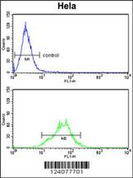 LDHA Antibody (Center)