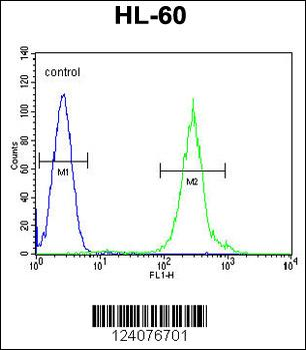 FANCC Antibody (C-term)