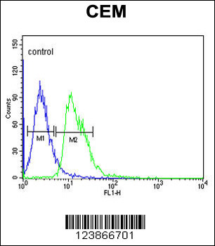 DIAPH2 Antibody (Center)