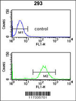 SMNDC1 Antibody (N-term)