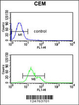 S39A8 Antibody (Center)