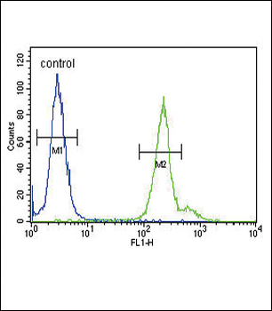 GPM6A Antibody (C-term)
