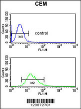 DMC1 Antibody (N-term)