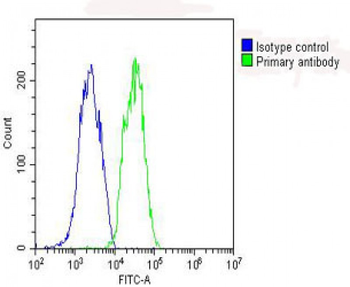 GPX1 Antibody (C-term)