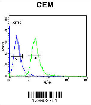 MTNR1A Antibody (Center)