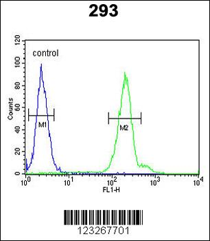 CRELD2 Antibody (C-term)